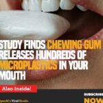 WhatsApp Image 2025-06-03 at 11.18.35_8b1fbda3 (Copy)