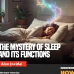 WhatsApp Image 2025-11-29 at 13.22.57_21970e46 (Copy)