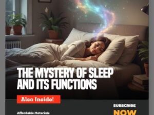 WhatsApp Image 2025-11-29 at 13.22.57_21970e46 (Copy)